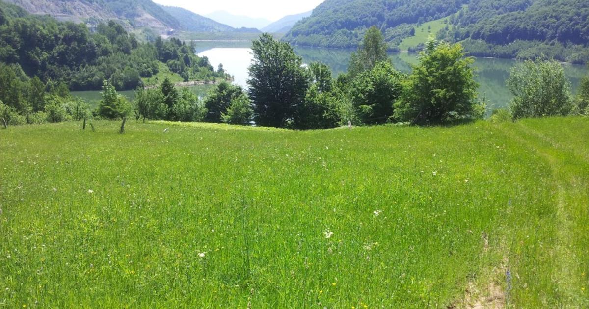 Teren Construcții intravilan de 73000 mp, în Siriu preț 390.000 € | Imobiliare.ro