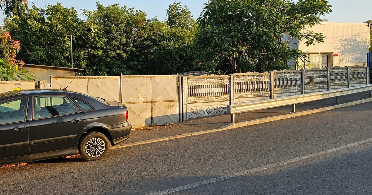 Piata Delfinului strada Albisoarei