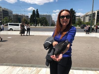 SOUTH REAL ESTATE COMPANY