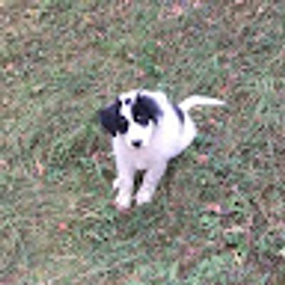 List: vand, cumpar, inchiriez imobile