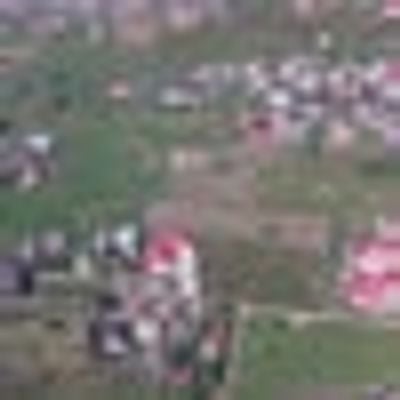 Francez Din Vatra Dornei