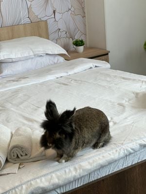 BABU SALES MANAGER II