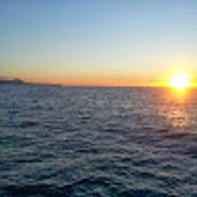 Ionut