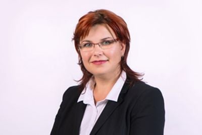 Sodolescu Imobiliare si Constructii Srl