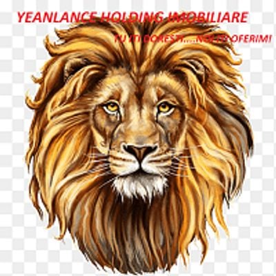 YEANLANCE HOLDING IMOBILIARE