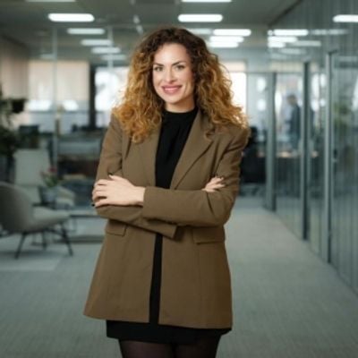 North Bucharest Investments