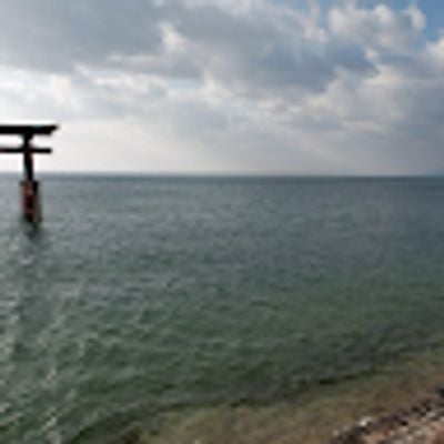 Ioana Amedeea Soranescu cas. Popescu