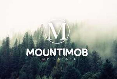 MOUNTIMOB TOP ESTATE SRL