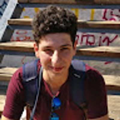 Andrei Stoicescu