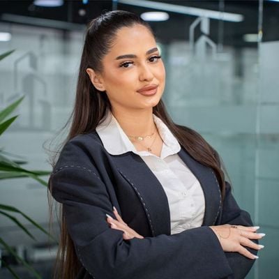 North Bucharest Investments
