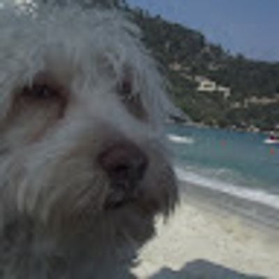Cristi