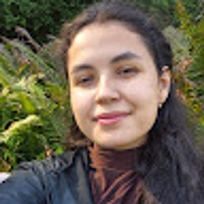 Violeta Lache