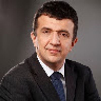 Liviu Bratescu