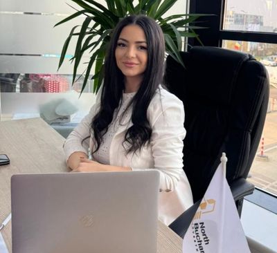 North Bucharest Investments
