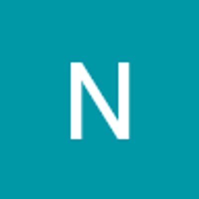 Negrisan Alin