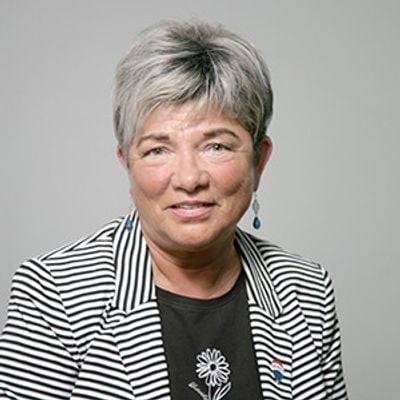 Remax Tecno Realty Arad