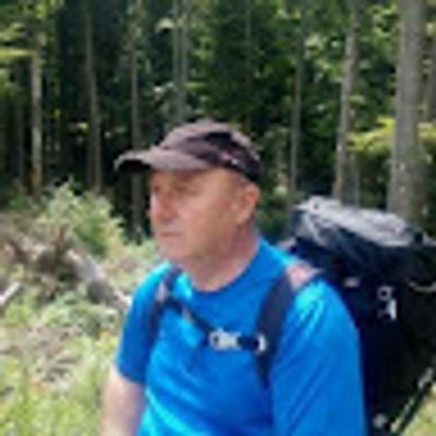 dragos costel Niculae