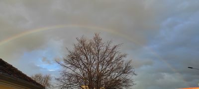 Liana-Filofteia Purice