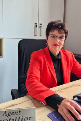 Domina Imobiliare