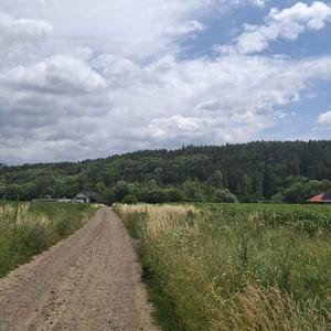 Teren de 5000 mp, în Șcheia