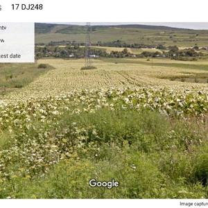 Teren agricol intravilan de 17755 mp, în Valea Satului