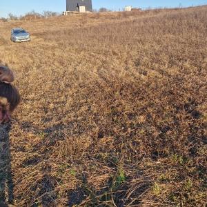 Teren agricol extravilan de 2180 mp, în Gârbău