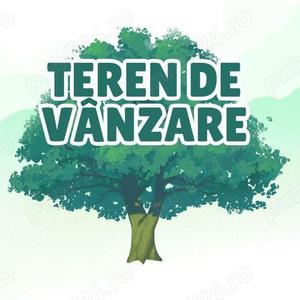 Teren de 20000 mp, în Central