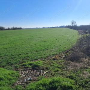 Teren de 20000 mp, în Șagului