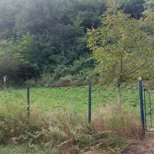 Teren de 7000 mp, în Voia