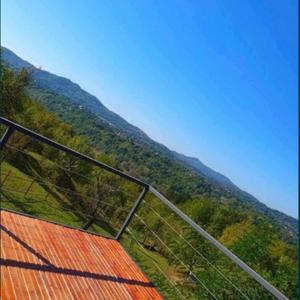 Casă cu 3 camere în Central