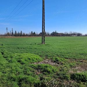 Teren de 20000 mp, în Șag