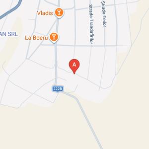 Casă individuală cu 2 camere cu Teren 1400 Mp în Topolog