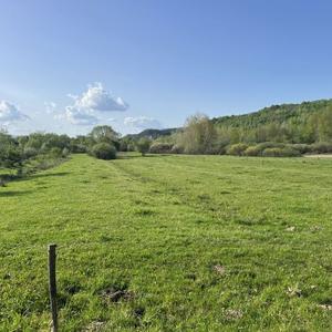 Casă cu 3 camere în Vărzari