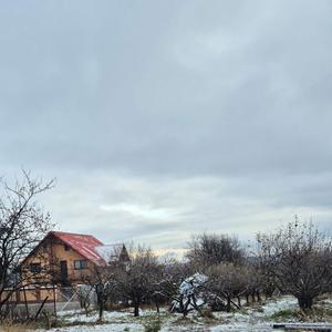 Spațiu comercial, în Filioara