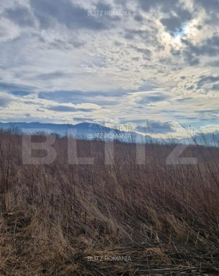 Teren de vanzare 1500 mp - intravilan Codlea - 30 euro mp - 3