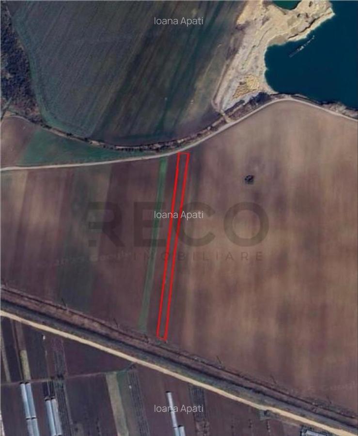 RECO Teren extravilan 2700mp Bors - 1