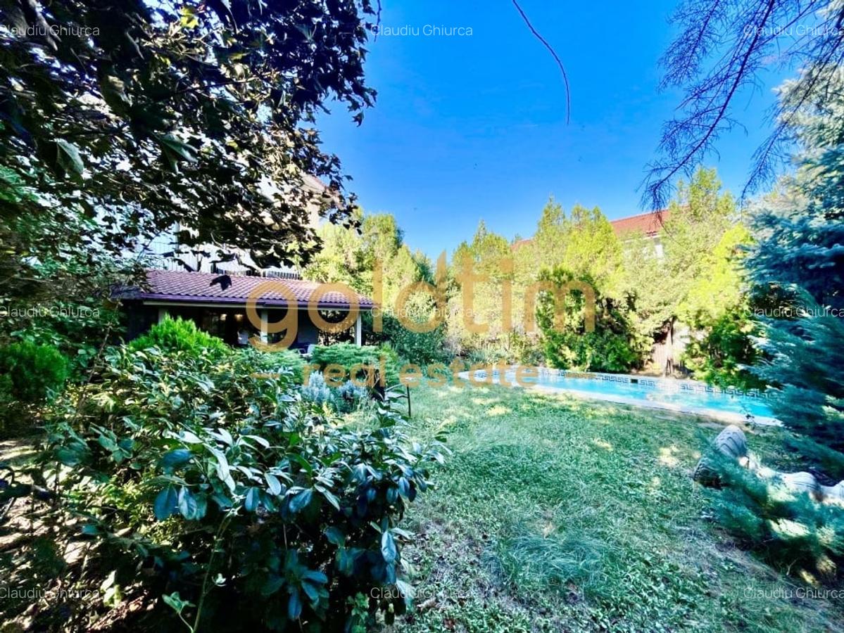 SUPERB/GRADINA/VEGETATIE MATURA/VILA INDIVIDUALA/PISCINA EXTERIOARA - 31