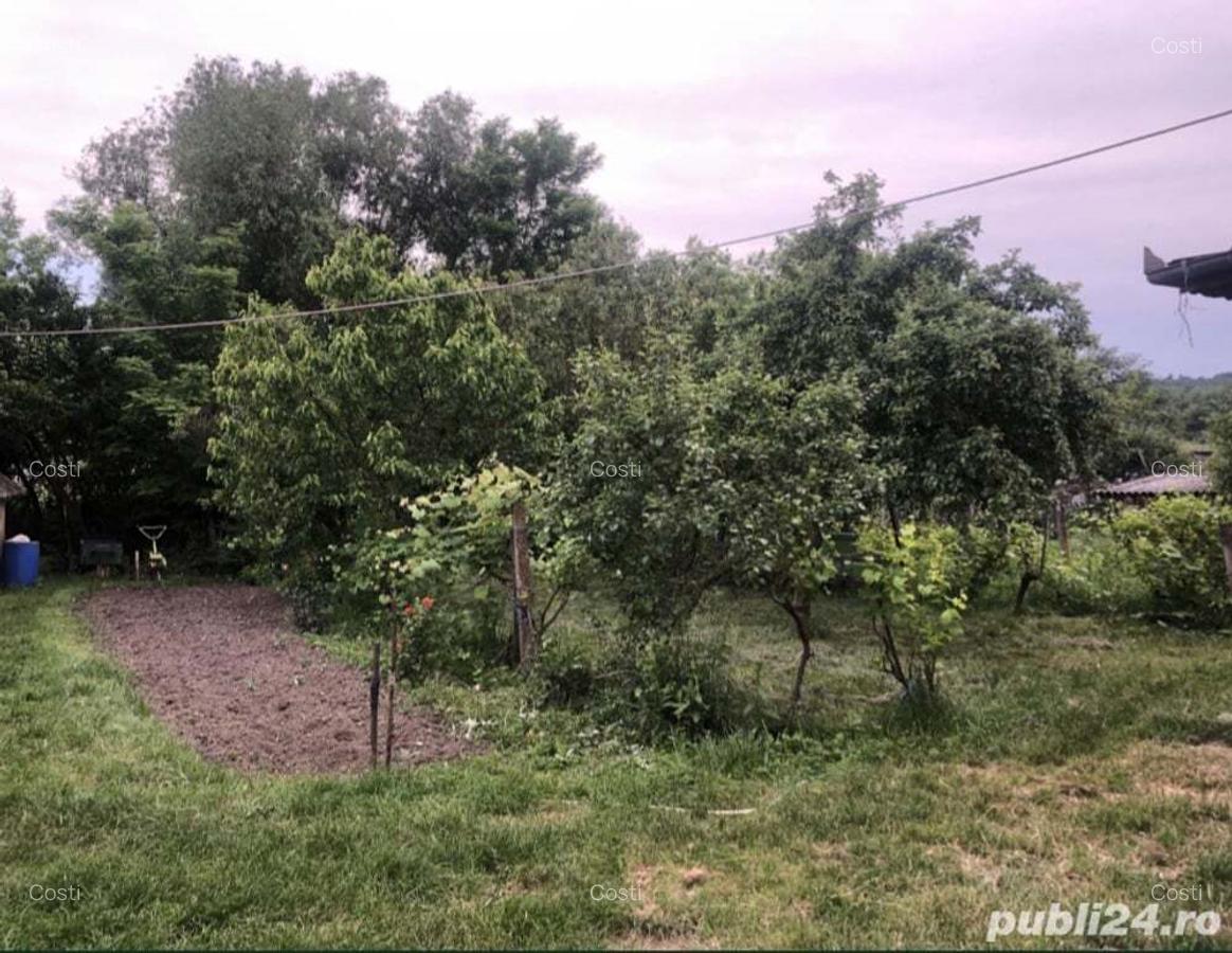 Casa cu gradina si terenuri - 4