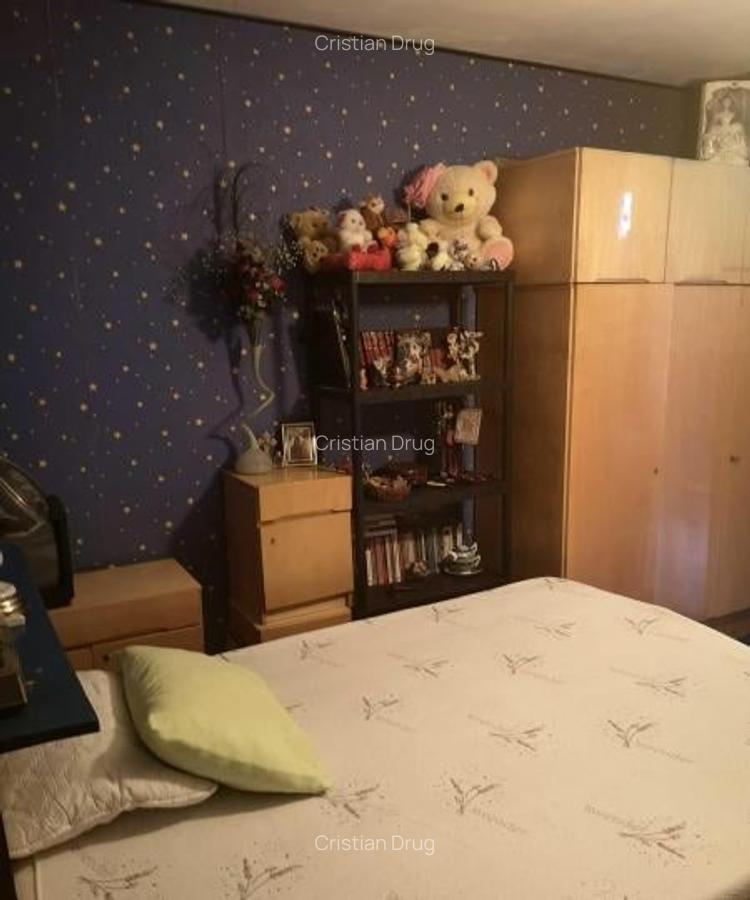 Apartament 2 camere Nicolae Grigorescu - 2