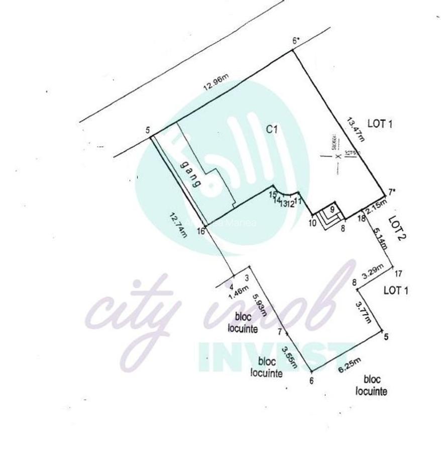 Casa cocheta cu gradina - 3