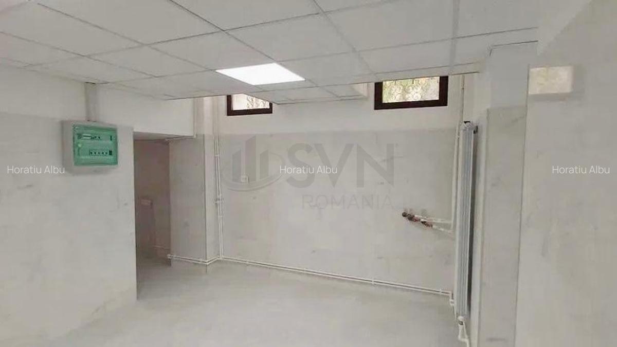 Spațiu comercial, 220 mp în P-ța Unirii - 3
