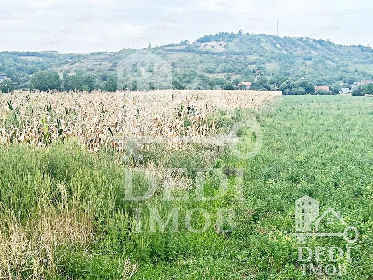 Teren extravilan Lugasu de jos, Bihor - 1