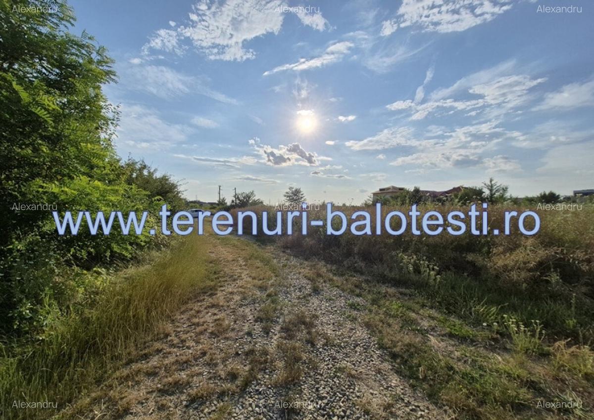 Teren ieftin la liziera padurii Balotesti, 13500 euro - 14