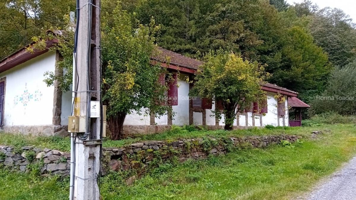 Casa de vacanta Crivaia, langa Valiug -locatie idilica, ideala pentru timp liber - 2