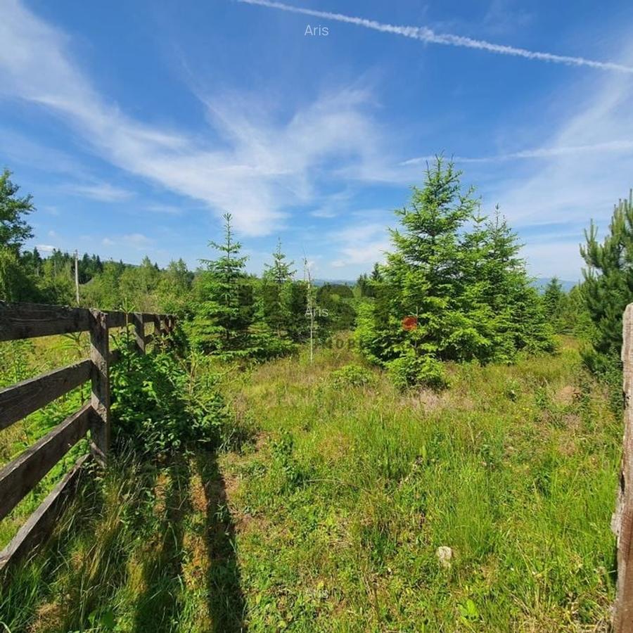 Teren 1728 mp  impartit în 6 parcele cu acces la drum - Călățele-Pădure - 1