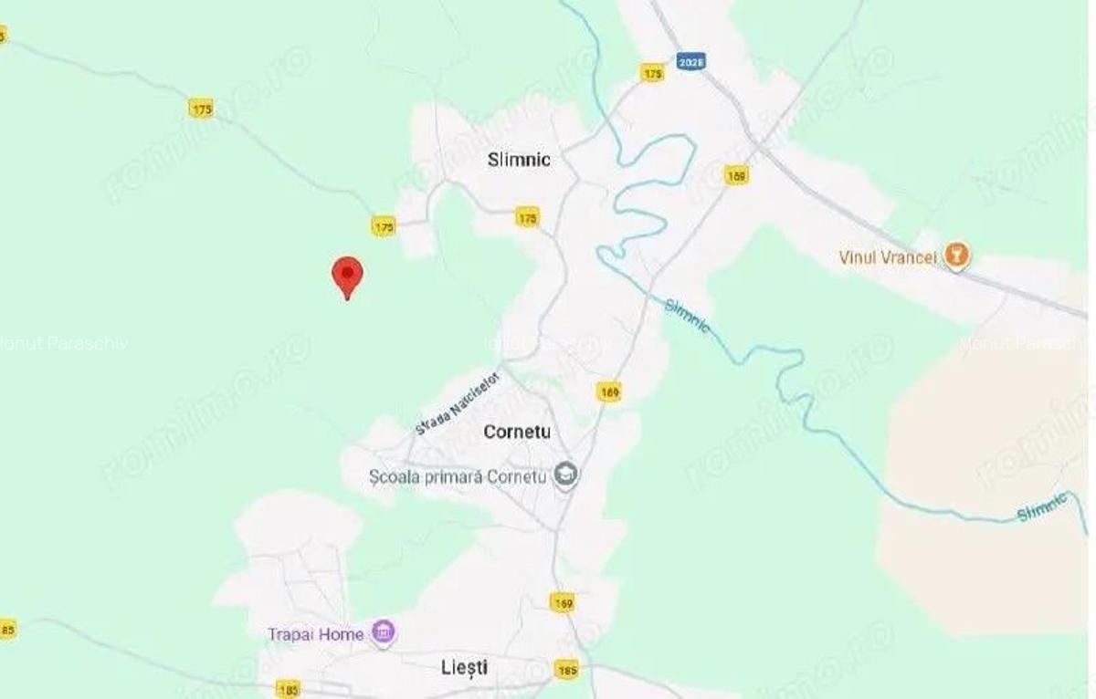 Teren extravilan Tamboesti ; ID: R2832805 - 3