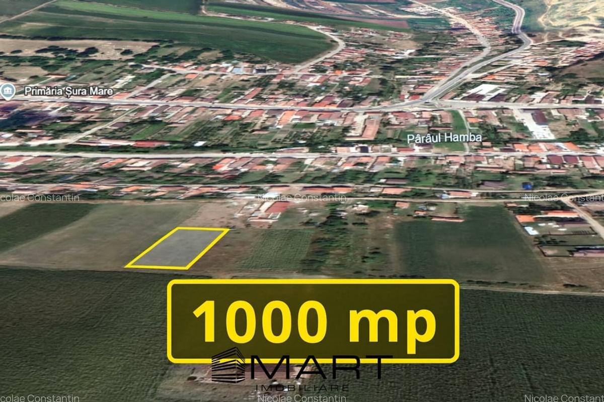 Teren extravilan 1000mp Sura Mare - 3