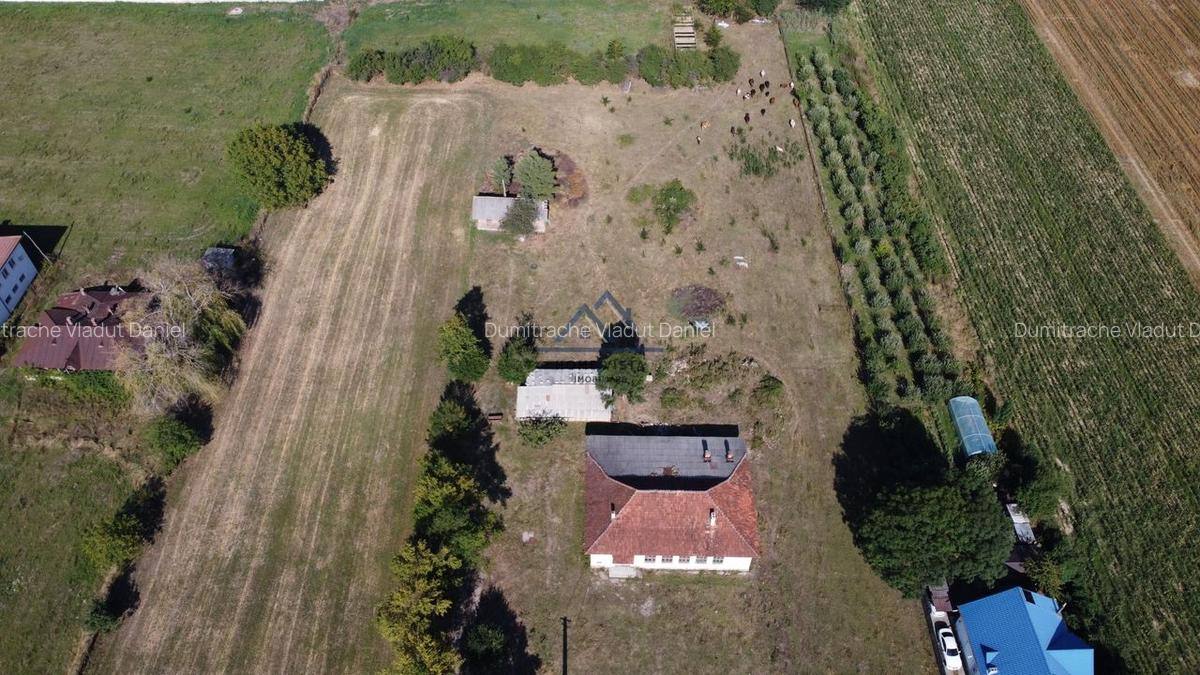 Teren intravilan de 10 614 mp cu deschidere de 59 m - Baiculesti (Comision 0%) - 9