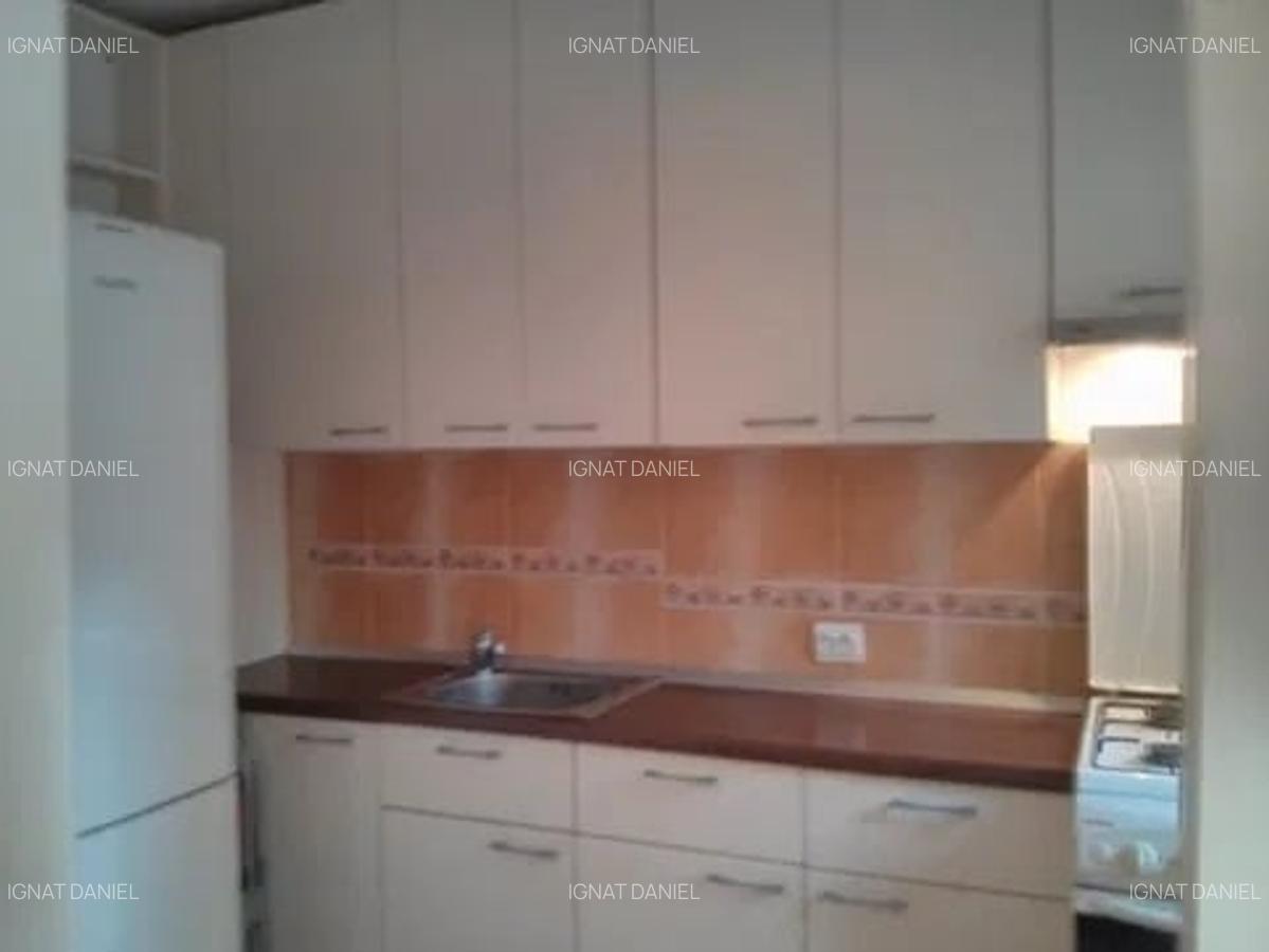 Apartament cu 2 camere, etajul 3/4, zona Podu Ros-Odeon - 4