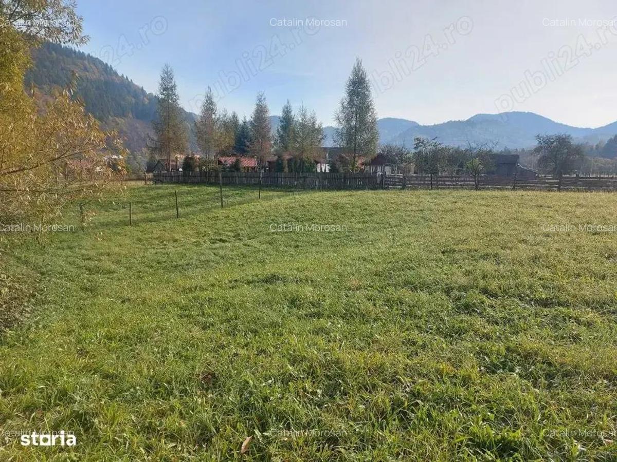 Spre vanzare proprietate 4688 mp in Campulung Moldovenesc - 8